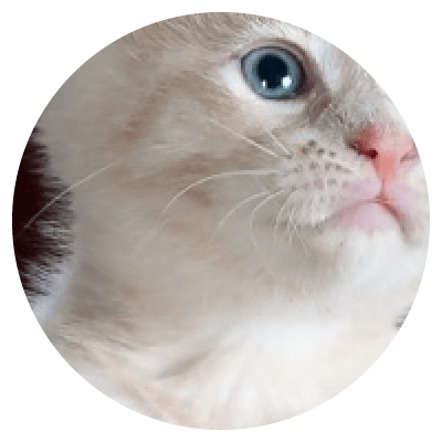 Placeholders
