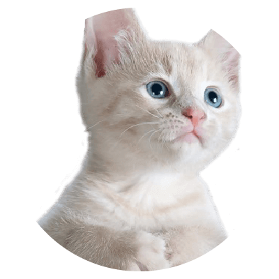Placeholders