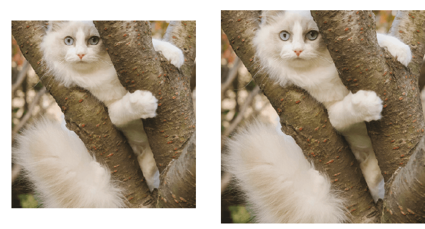 Placeholders Placeholders