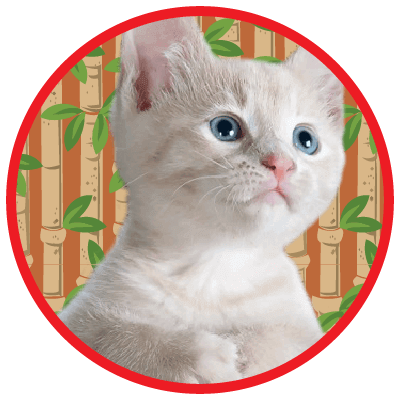 Placeholders Placeholders