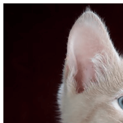 Placeholders Placeholders