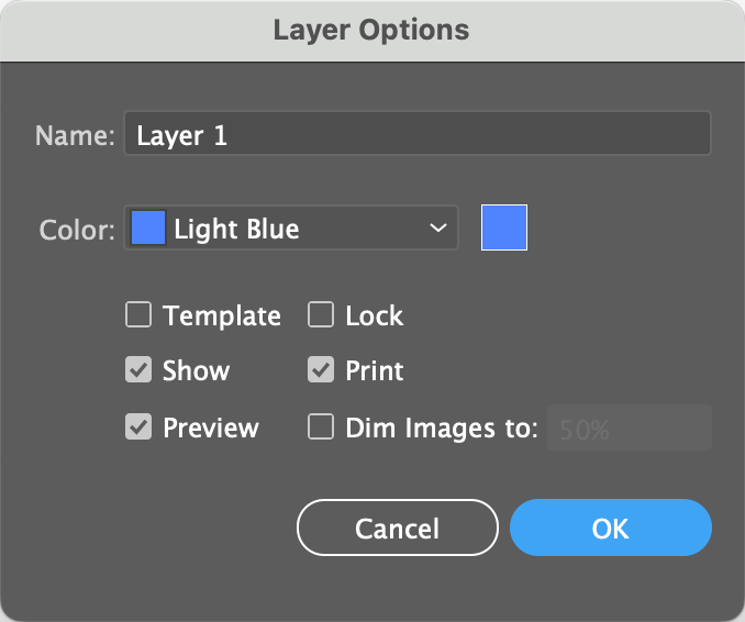 Layer Options